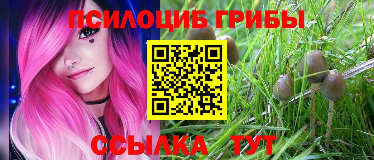 Галлюциногенные грибы Magic Shrooms Павловский Посад